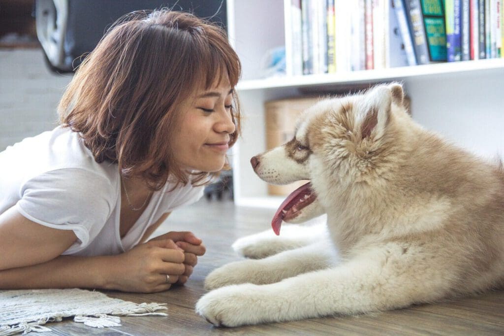 girl, lady, woman, women, asia, female, fashion, young, beauty girl, woman fashion, people, person, women fashion, model, fashion woman, fashion lady, white, style, face, love, pet, smile, beautiful hair, portrait, cute, lifestyle, dog, husky, happy, happiness, fun, smiling, family, cute girl, cute dog, animal, husky puppy